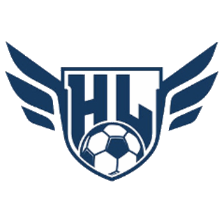 宁夏平罗恒利队标,宁夏平罗恒利图片